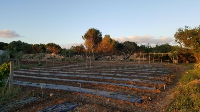 TELONI / 20170519_202335.jpg 20170519_202335.jpg