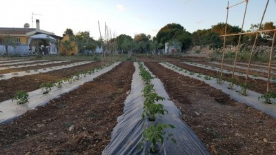 20170519_202506.jpg (112.15 KiB) Osservato 1447 volte 20170519_202506.jpg