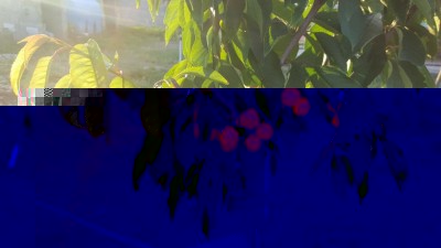 20170521_201458.jpg (85.41 KiB) Osservato 1447 volte 20170521_201458.jpg