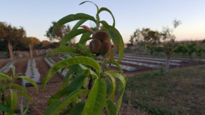 20170519_202712.jpg (54.27 KiB) Osservato 1447 volte 20170519_202712.jpg