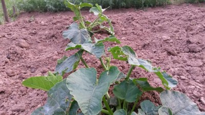 90.jpg (132.36 KiB) Osservato 546 volte 90.jpg