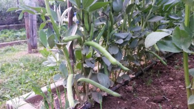 91.jpg (105.39 KiB) Osservato 546 volte 91.jpg