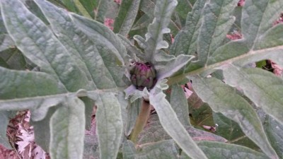 92.jpg (72.09 KiB) Osservato 544 volte 92.jpg