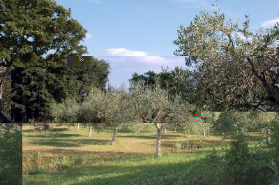 Olivi / DSC_2574.JPG DSC_2574.JPG