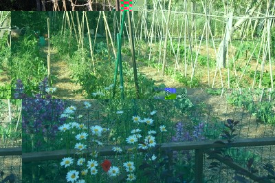 185.JPG (335.51 KiB) Osservato 581 volte 185.JPG