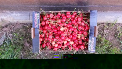 93.jpg (135.74 KiB) Osservato 614 volte 93.jpg