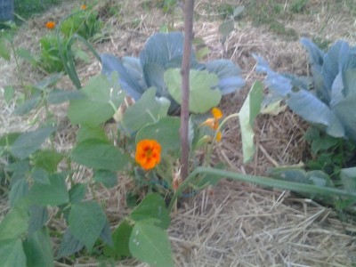 2017-05-29 20.51.50.jpg (95.23 KiB) Osservato 639 volte 2017-05-29 20.51.50.jpg