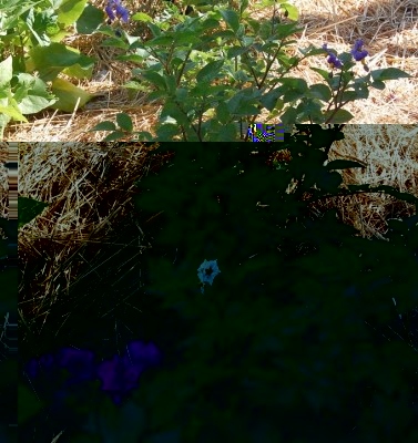 198.JPG (338.38 KiB) Osservato 527 volte 198.JPG