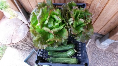 100.jpg (101.18 KiB) Osservato 506 volte 100.jpg