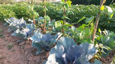 101.jpg (137.37 KiB) Osservato 506 volte 101.jpg