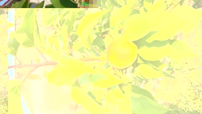 102.jpg (84.85 KiB) Osservato 506 volte 102.jpg