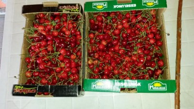 104.jpg (106.84 KiB) Osservato 558 volte 104.jpg