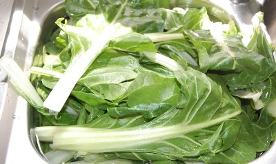 206.JPG (188.58 KiB) Osservato 500 volte 206.JPG