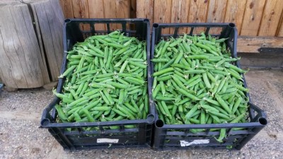 105.jpg (121.14 KiB) Osservato 628 volte 105.jpg