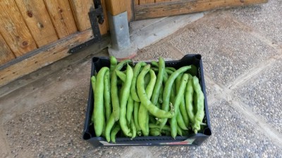 106.jpg (105.51 KiB) Osservato 628 volte 106.jpg