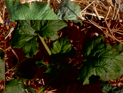 213.JPG (300.94 KiB) Osservato 603 volte 213.JPG