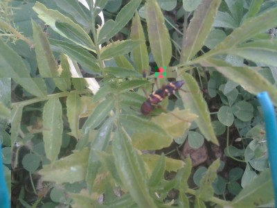 2017-06-04 17.59.52.jpg (74.91 KiB) Osservato 558 volte 2017-06-04 17.59.52.jpg