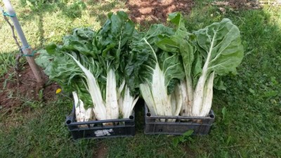 107.jpg (130.89 KiB) Osservato 549 volte 107.jpg