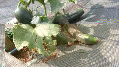 108.jpg (159.99 KiB) Osservato 549 volte 108.jpg