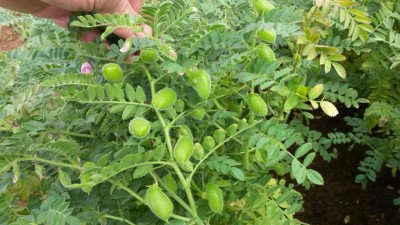 109.jpg (109.73 KiB) Osservato 549 volte 109.jpg