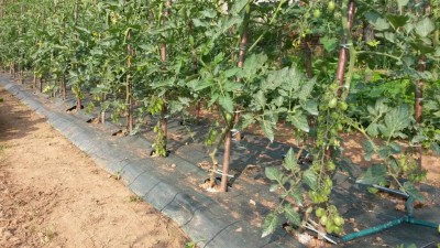 111.jpg (152.46 KiB) Osservato 544 volte 111.jpg