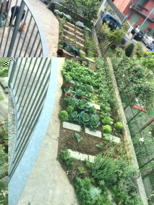 Panoramica dal balcone della parte a fianco della casa / panoramica.jpg panoramica.jpg