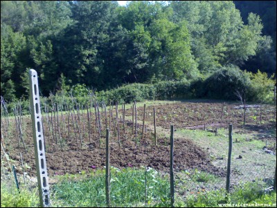 31052017panoramica2.jpg (355.86 KiB) Osservato 536 volte 31052017panoramica2.jpg