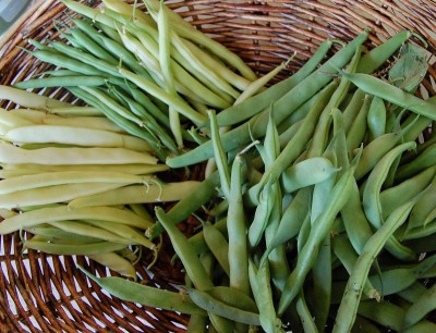 220.JPG (255.51 KiB) Osservato 551 volte 220.JPG