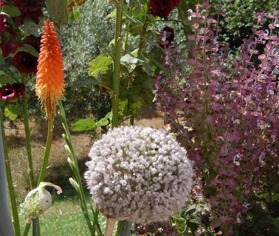 221.JPG (340.32 KiB) Osservato 551 volte 221.JPG