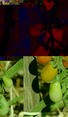 221.JPG (171.38 KiB) Osservato 546 volte 221.JPG