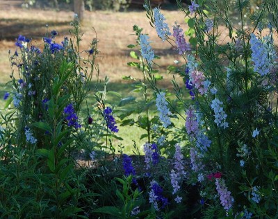 224.JPG (312.78 KiB) Osservato 546 volte 224.JPG