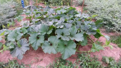 115.jpg (130.28 KiB) Osservato 629 volte 115.jpg