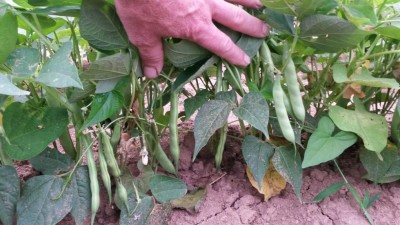 117.jpg (101.85 KiB) Osservato 629 volte 117.jpg