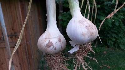 118.jpg (59.9 KiB) Osservato 629 volte 118.jpg