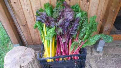 120.jpg (92.12 KiB) Osservato 595 volte 120.jpg