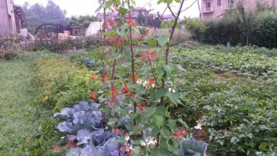 121.jpg (139.01 KiB) Osservato 595 volte 121.jpg