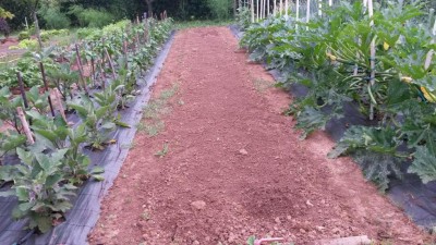 122.jpg (139.61 KiB) Osservato 595 volte 122.jpg