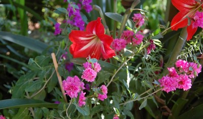 241.JPG (184.28 KiB) Osservato 651 volte 241.JPG