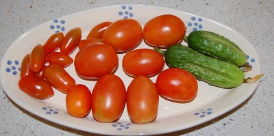 242.JPG (65.78 KiB) Osservato 650 volte 242.JPG