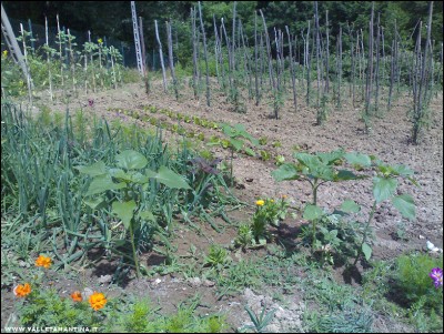 10062017panoramica.jpg (377.34 KiB) Osservato 585 volte 10062017panoramica.jpg