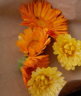 250.JPG (242.81 KiB) Osservato 564 volte 250.JPG