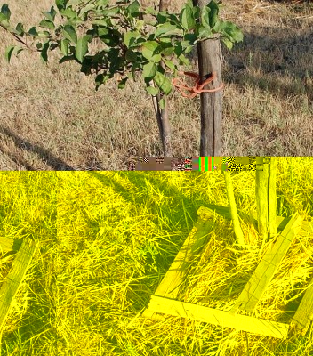 254.JPG (394.13 KiB) Osservato 476 volte 254.JPG