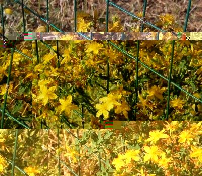 258.JPG (366.41 KiB) Osservato 685 volte 258.JPG