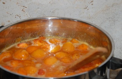 259.JPG (171.45 KiB) Osservato 685 volte 259.JPG