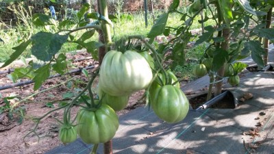 123.jpg (139.47 KiB) Osservato 516 volte 123.jpg