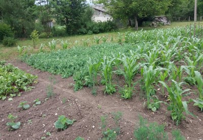 266 - Copia.jpg (266.03 KiB) Osservato 648 volte 266 - Copia.jpg