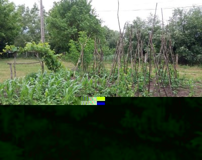 267 - Copia.jpg (299.59 KiB) Osservato 648 volte 267 - Copia.jpg