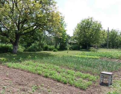 269 - Copia.jpg (310.83 KiB) Osservato 648 volte 269 - Copia.jpg