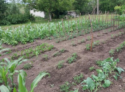 271 - Copia.jpg (276.16 KiB) Osservato 648 volte 271 - Copia.jpg