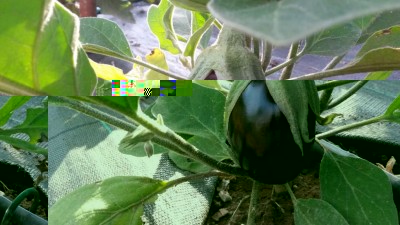 131.jpg (88.07 KiB) Osservato 511 volte 131.jpg